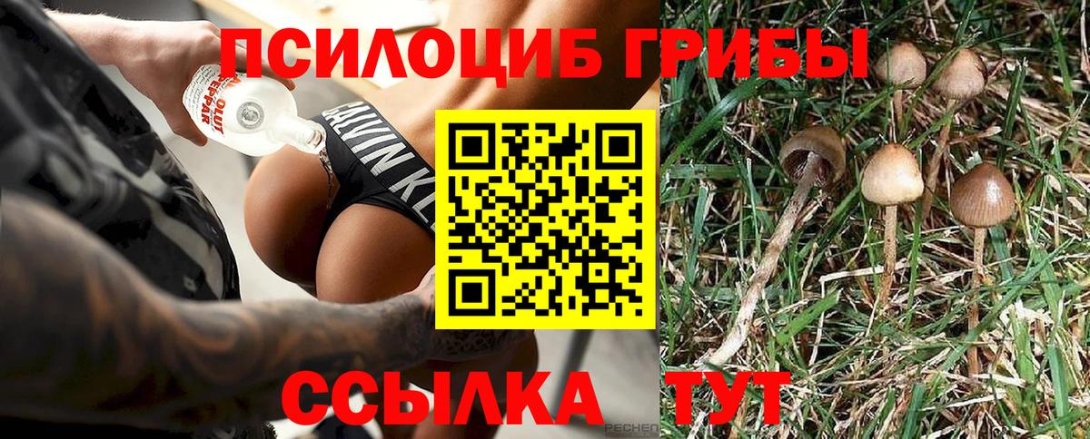 Галлюциногенные грибы мицелий  Галлюциногенные грибы Psilocybe  Саранск  Вход с VPN 