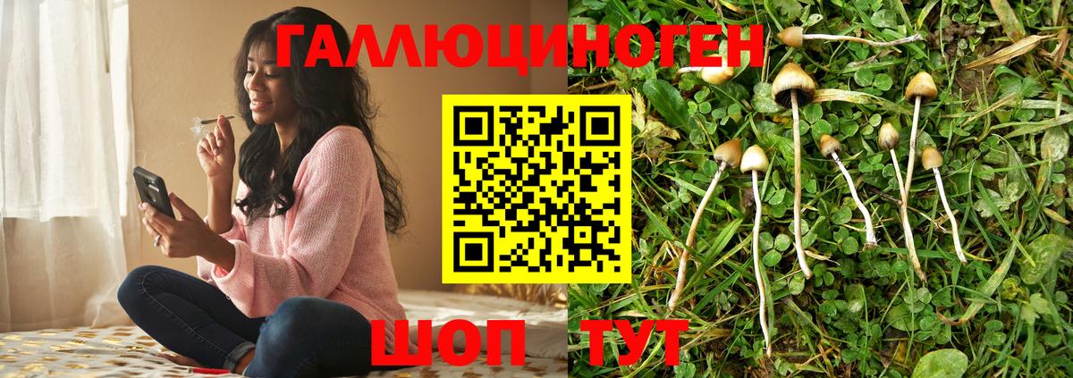 Галлюциногенные грибы MAGIC MUSHROOMS Саранск