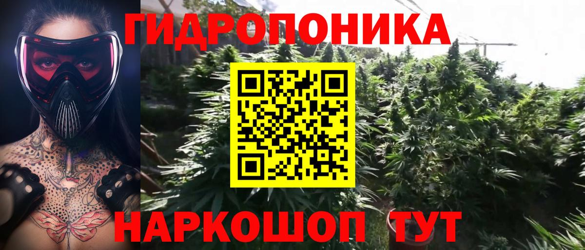 Конопля White Widow  МАРИХУАНА MAZAR  Бошки Шишки SATIVA & INDICA  Вход с VPN  Саранск 